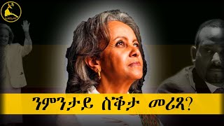 ERISAT reportage  ፕረዚደንት ሳህለ ወርቅ፡ ንምንታይ ስቕታ መሪጻ [upl. by Byron]