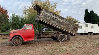 1969 CHEVROLET C60 16 GRAIN  DUMP BOX [upl. by Ynneb]