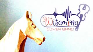 Witamina Cover Band  Konik na biegunach cover Urszula [upl. by Swain]