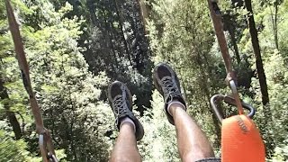 Zip Lining at Otway Fly Treetop Adventures  Otway Ranges  Victoria Australia  Great Ocean Road [upl. by Raye993]