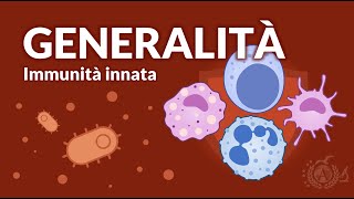 Generalità e principi base dellimmunità innata  IMMUNOLOGIA [upl. by Ofelia]