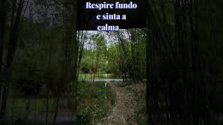 Relaxe em 60 Segundos 🌿  Uma Pausa para Sua Mente [upl. by Hebner]