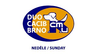 DUO CACIB BRNO 2024  Sunday [upl. by Celio]