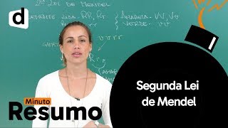 SEGUNDA LEI DE MENDEL  MINUTO RESUMO  DESCOMPLICA [upl. by Ylsel854]