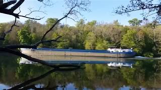 Péniche bleue à Samoreau  Forêt de Fontainebleau  Printemps [upl. by Esiuol]