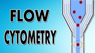 Flow Cytometry [upl. by Bowes]