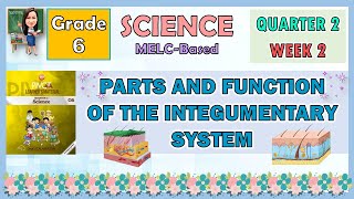 SCIENCE 6 QUARTER 2 WEEK 2  PARTS AND FUNCTION OF THE INTEGUMENTARY SYSTEM [upl. by Caasi390]