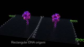 Nanobots Seek and Destroy Tumors [upl. by Llennoj]