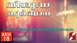 SUNDAY HOLY MASS LIVE  6 AM 18 AUG 2024REV FR BAIJU ANTONY VCMALAYALAM QURBANATODAYGOODNESS TV [upl. by Leidba]