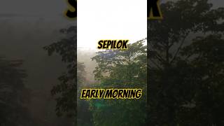 Early morning in Sepilok Malaysia dji neo aerials malaysia Sabah drone [upl. by Aitsirt]