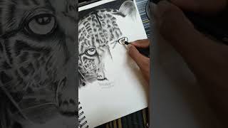 LEOPARD DRAWING CHALLENGE  Pencil Art Tutorial from Scratch art artist drawing sketch [upl. by Reichert354]