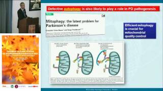 Pathogenesis and pathophysiology of PD  Fabio Blandini IRCCS Neurological Institute C Mondino [upl. by Aohk438]