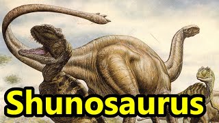 Shunosaurus The Club Tailed Sauropod Dinosaur [upl. by Oinotnanauj649]