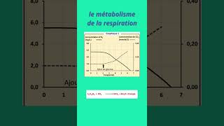 les voix métaboliques de la dégradation de glucose [upl. by Kaile]