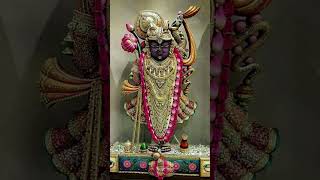 Shrinathji Sharanam mama bolo Giriraj dharan ki Jay [upl. by Ydoj659]