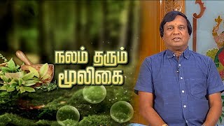 கிட்னியில் Creatine Urea அளவை குறைக்கும் விஷநாராயண பச்சிலை பூனை மீசை  Nalam Tarum Mooligai [upl. by Cerveny955]