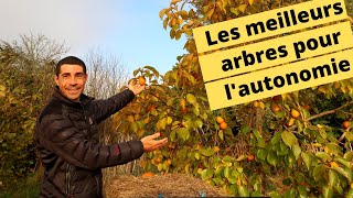 😍🍒🍏🍇Les meilleurs arbres fruitiers pour lautonomie😍🍒🍏🍇 [upl. by Acinod]