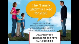 Use the Family Glitch Fix for Lower Health Premiums [upl. by Bohun747]