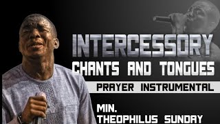 Theophilus Sunday  Intercessory Chants amp Tongues  One Hour Loop Prayer Instrumental [upl. by Ainniz]