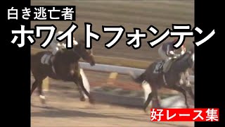 【白き逃亡者】ホワイトフォンテン【好レース集】 [upl. by Zetrauq]