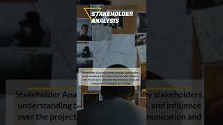 Stakeholder Analysis [upl. by Stead314]