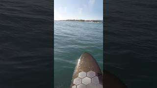 日立市でのサーフィン20241125 月  Surfing in Hitachi city in JP shorts サーフィン サーフィン動画 surfing surflife [upl. by Unhsiv75]