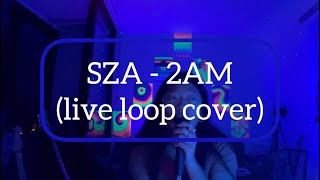 sza  2AM live loop cover [upl. by Saks120]