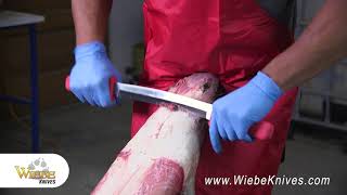 Wiebe Knives  Product Spotlight Wiebe Fleshing Knives [upl. by Deth108]