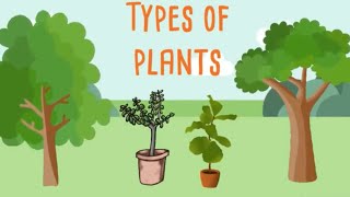 Types of plants for kids  Different types of plants [upl. by Addis]