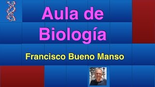 2 PROBLEMAS DE GENÉTICA PRIMERA LEY DE MENDEL [upl. by Kanal71]