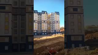 AADL 2000 logements ElAchour oued terfa quota 6 [upl. by Vowel]