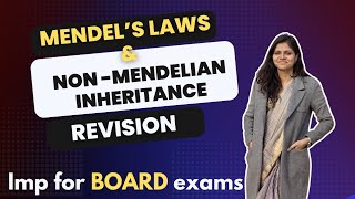 Mendels laws  law of segregation for class 12th Boards  law of dominance [upl. by Mathi870]