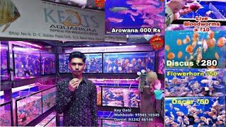 Cheapest Aquarium Fish Shop In Mumbai Kurla Market [upl. by Jacob631]