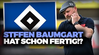 HSV Steffen Baumgart hat FERTIG [upl. by Gabriele483]