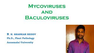 Mycoviruses amp Baculoviruses  Plant Virology  MSc Plant Pathology [upl. by Lise]