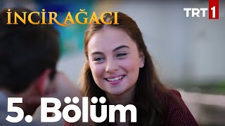 İncir Ağacı 5 Bölüm [upl. by Enamrahs]