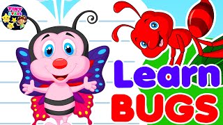 Kids vocabulary  Bugs With Spelling  Learn English for kids  Tiny Stars [upl. by Llereg129]