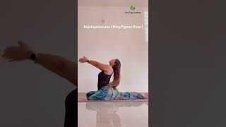 Rajakapotasana  King Pigeon Pose  yogaurmi yogawithurmipandya yoga 2023 yogaasana yogalife [upl. by Enej]