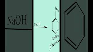 Kolbe’s Schmit reaction  phenol  Salicylic Acid  cbseclass12  Organic Chemistry [upl. by Hiroko]