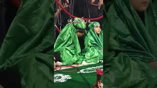 YOUN SAKINA NE PUKARA BEST EVER NOHA 2024  Najaf Ali Saffvi [upl. by Whetstone]