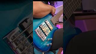 Probando el bajo Spector Legend Standard spectorlegend bass bajista [upl. by Aggy853]