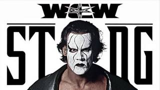 WCW  Sting Theme  Seek amp Destroy with Thunder effect [upl. by Ransell339]