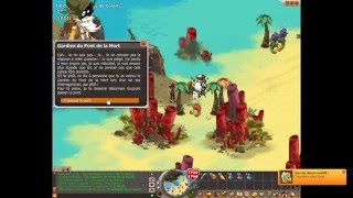 Dofus Réponse au questions du pont de la mort Otomaï TUTO 1 [upl. by Marjorie]