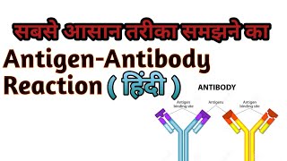 AntigenAntibody Reaction in  हिंदी Essy Way To Explain [upl. by Lramaj]