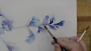 Watercolor Delphinium Part 4  Paint Florals Your Way  Painting Instruction with Sandra J [upl. by Darees]