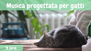 22  Musica progettata per gatti 🐱Musica Rilassante Per Gatti per calmarsi il dormire animali \ [upl. by Timmi76]