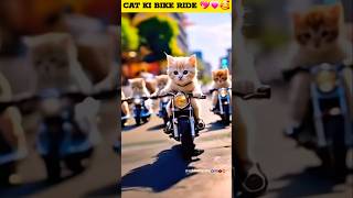 Cat Ki Bike Ride 💖💖💗💗🥰🥰shortvideo trendingshorts youtubeshorts bollyrwoodsongs [upl. by Cuda]