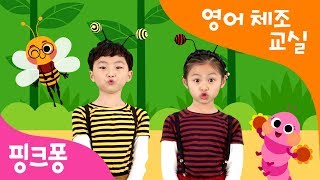 Bugn Roll  벌레들의 행진 체조  영어 체조 교실  핑크퐁 체조  핑크퐁 인기동요 [upl. by Sabine553]