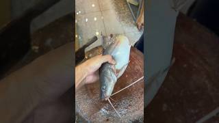 すごい！魚の解体市場のビデオ 놀라운 생선 절단 시장 비디오 fishing 特大魚の捌き方 fish fillet seafood fishfillet fishcutting [upl. by Eiffe]