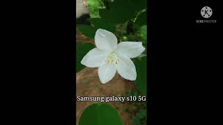 Xiaomi redmi 10 pro vs Samsung galaxy s10 5G camera test [upl. by Anwaf]